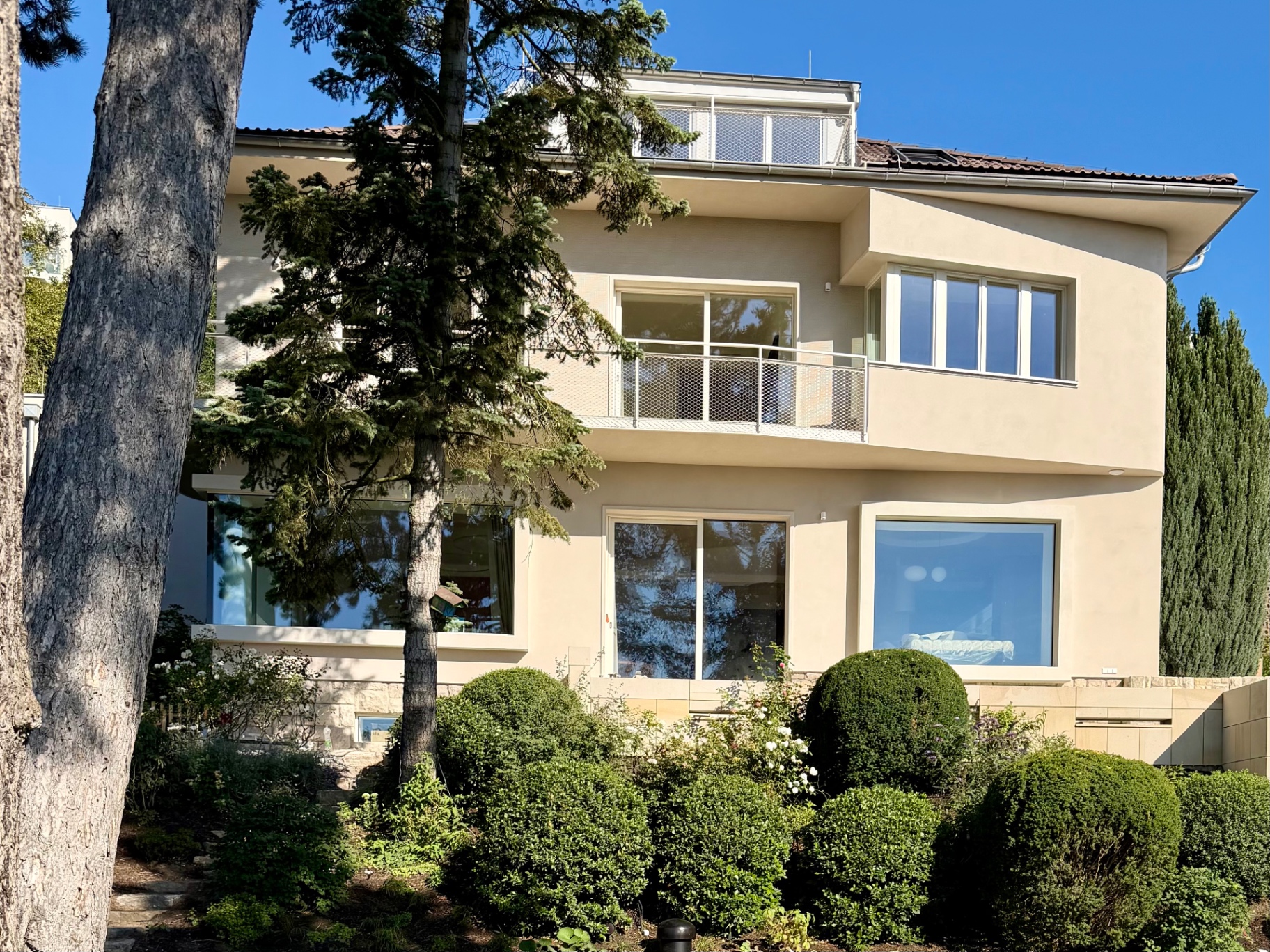The front of Vila Wolf, a bright modern house with tall windows behind a garden of roses and clipped box
